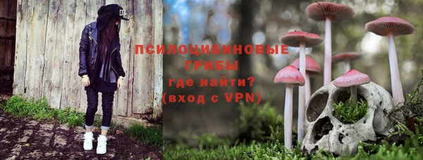 apvp Дмитров