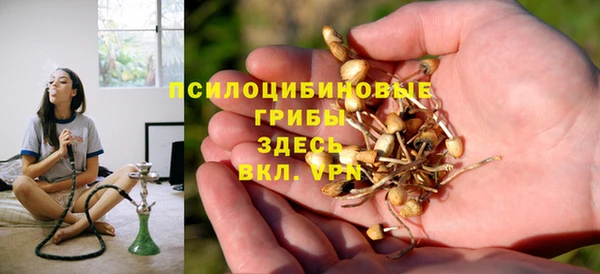 тгк Дмитриев