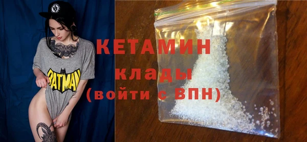 тгк Дмитриев