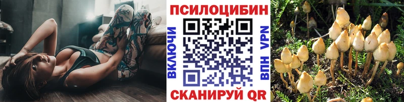 Галлюциногенные грибы Cubensis  Купить  Туапсе 